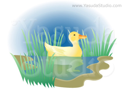 Duck Swimming