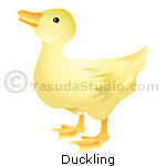 Duckling