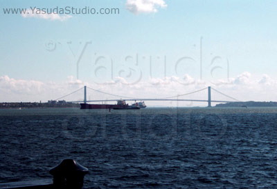 Verrazano Narrows Bridge