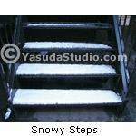 Snowy Steps