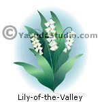 Lily of the Valley