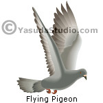 Flying Pigeon