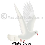 White Dove